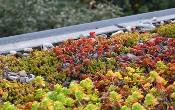 the cost of Sneath Common green roof installation