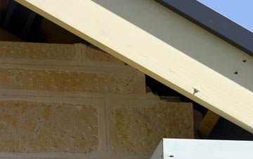 soffit repair Sneath Common